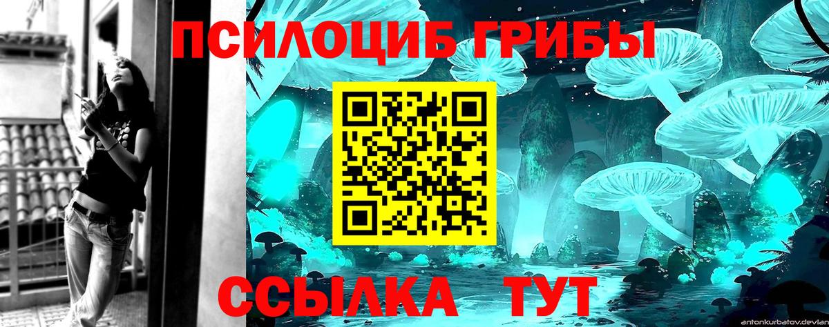 Асбест  Псилоцибиновые грибы прущие грибы  Вход с VPN  Галлюциногенные грибы Psilocybe 